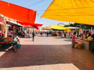 mudanza tianguis La Estancia Actopan