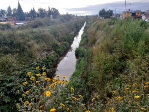 El cuerpo de una mujer fue localizado dentro de un canal de aguas negras, ubicado en Tula de Allende.