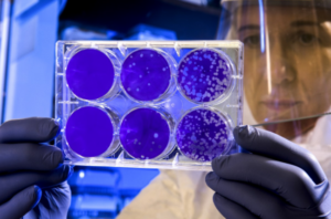 Mediante virus modificado buscan acabar con el cáncer