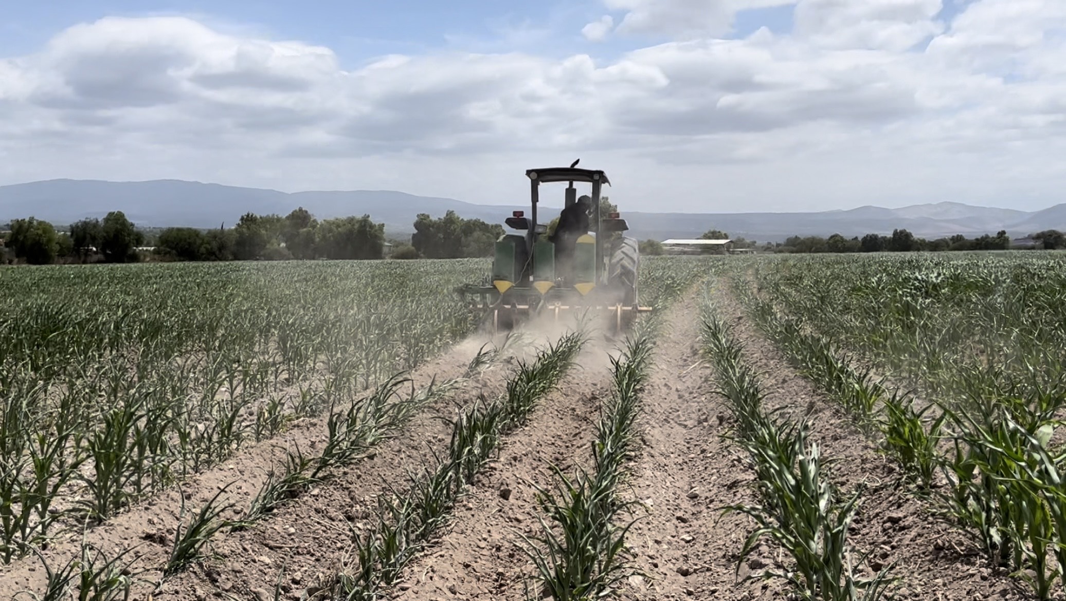 Prevén perder cultivos por la falta de lluvias – Criterio Hidalgo