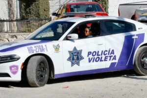policía violeta
