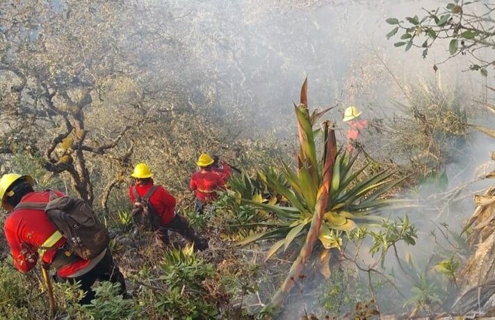 incendios forestales