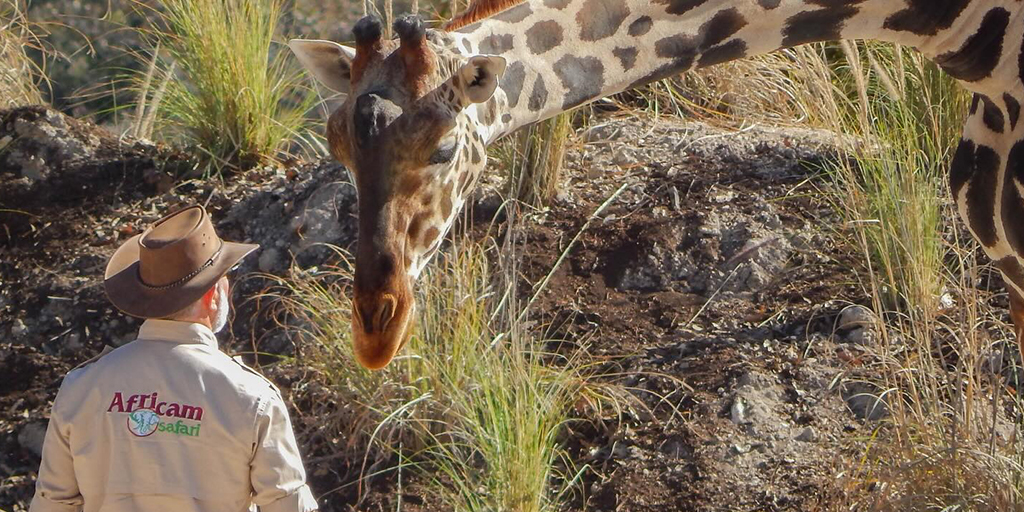 Africam Safari Puebla abre sus puertas al talento: ¡descubre las vacantes disponibles!