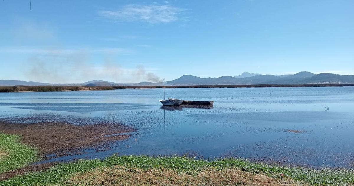 Laguna de Tecocomulco