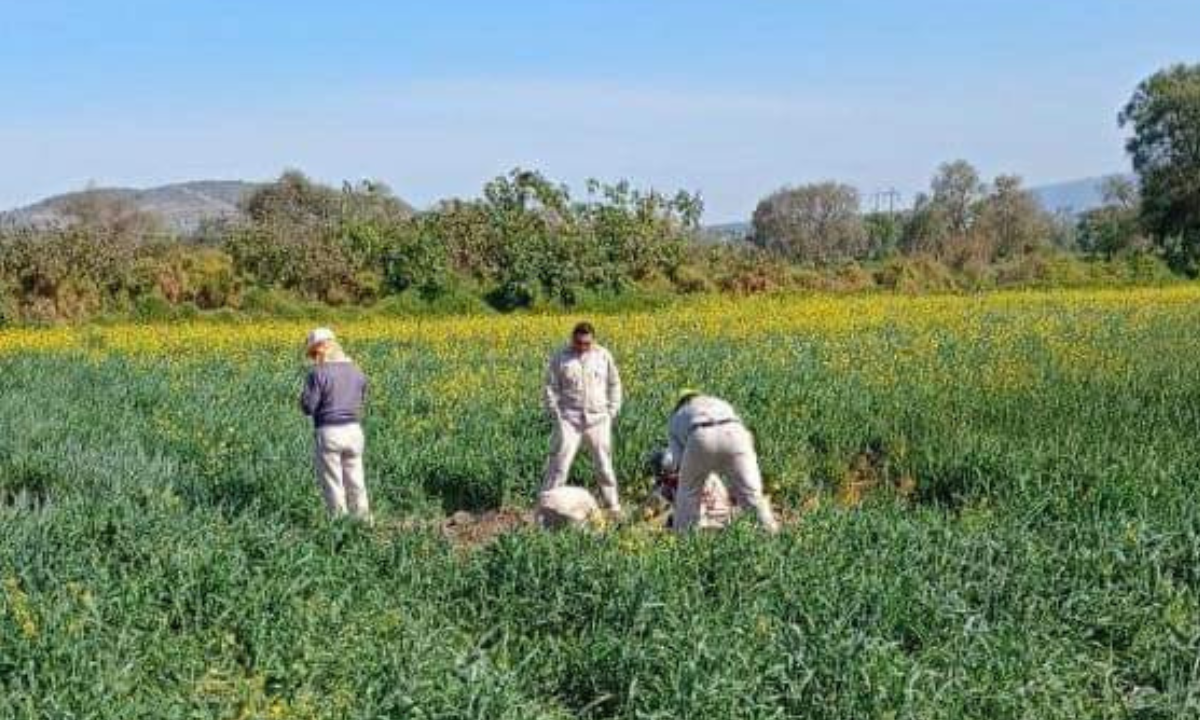 Localizan toma clandestina de hidrocarburo, en Tetepango