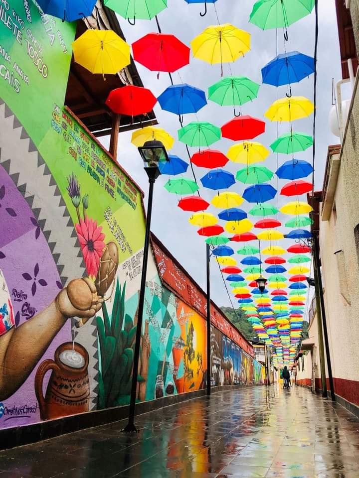 Cuatro lugares en Hidalgo perfectos para disfrutar del frío y la lluvia