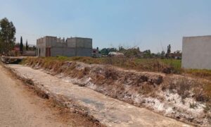 En la región, 35 por ciento del lactosuero es esparcido al suelo y cuerpos de agua