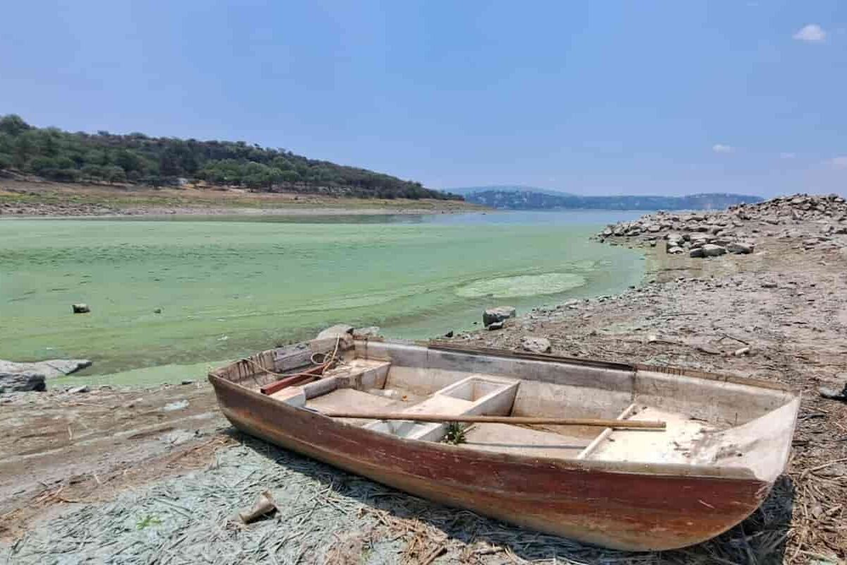 Productores, sin permiso para pescar en la Requena: Conagua