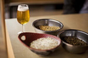 Pronto, el Pasaporte de la Cerveza Artesanal, en Hidalgo