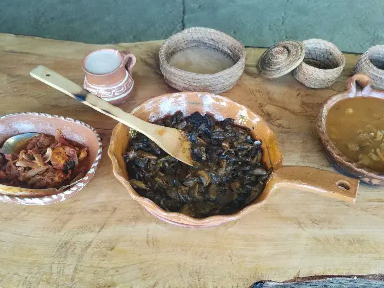 Habrá Festival del Hongo, en Omitlán, este agosto
