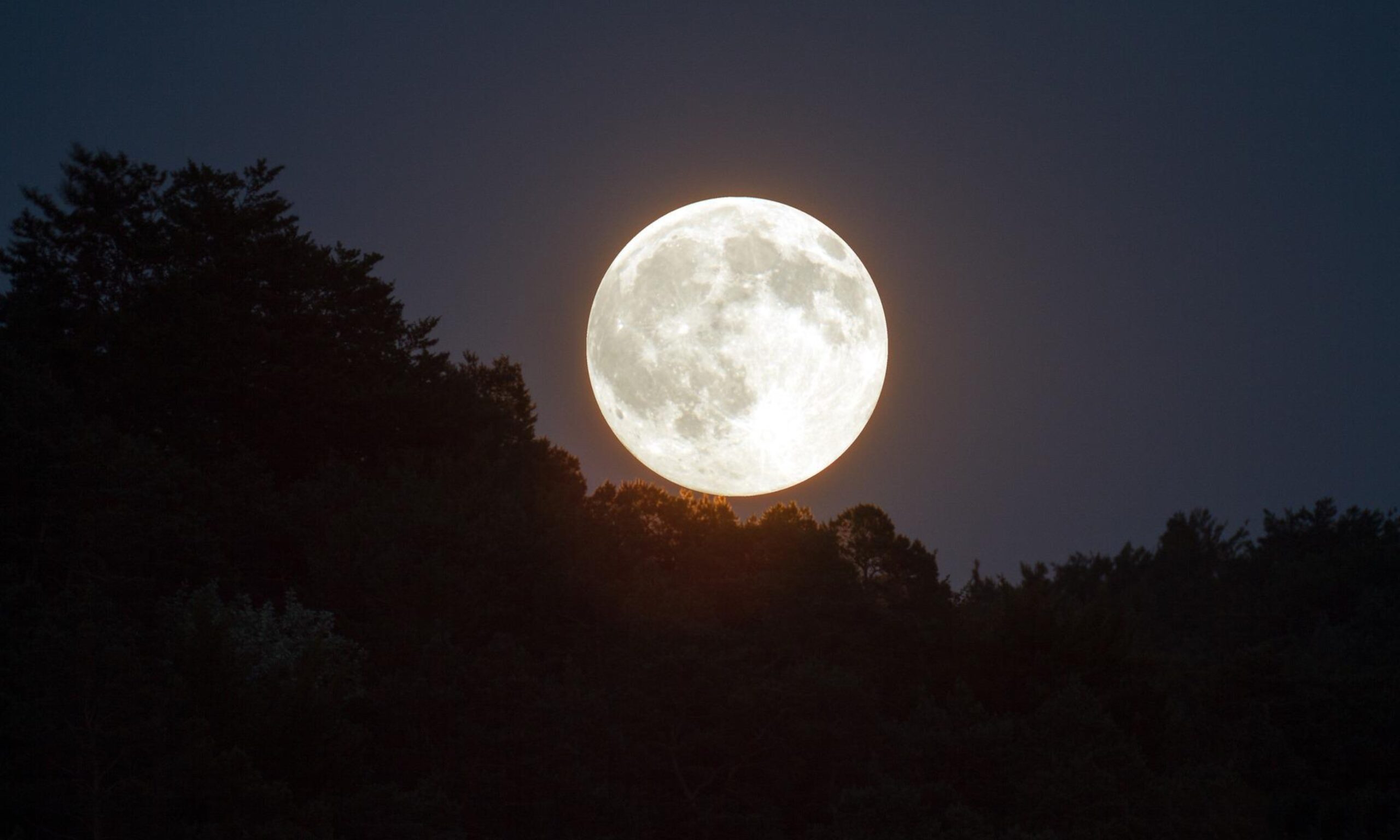 Cometas y Luna de Ciervo: eventos astronómicos en julio de 2024