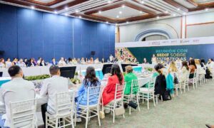 Presenta DIF Hidalgo avances y resultados en reunión de organismos estatales 