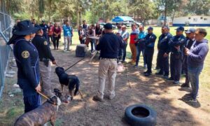 Alista Tizayuca protocolo para atender el maltrato animal