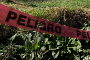 Los agentes el cuerpo de un hombre en estado de descomposición, mismo que ya era devorado por la fauna de la zona.