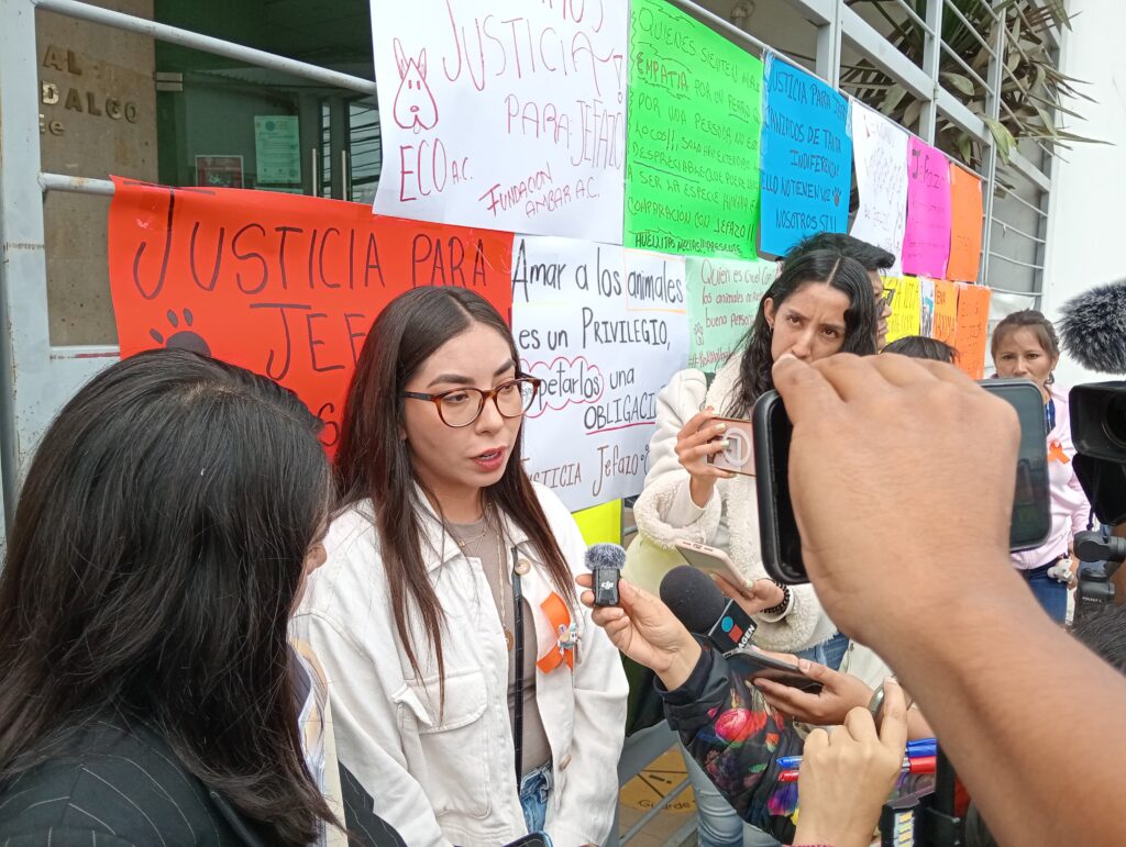 Animalistas piden una pena ejemplar para el agresor de Jefazo