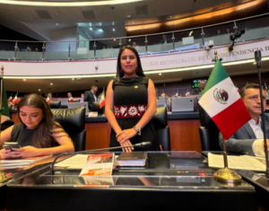 Simey Olvera, nueva presidenta de la Comisión de Estudios Legislativos Primera, durante su elección en el Senado.