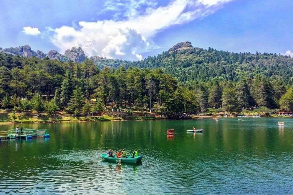 Parque Nacional El Chico abarca unas 2 mil 739 hectáreas pobladas por densos bosques de pino, oyamel y encino
