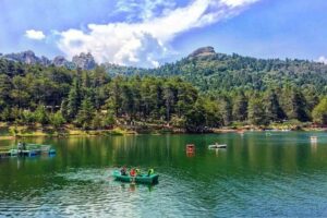 Parque Nacional El Chico abarca unas 2 mil 739 hectáreas pobladas por densos bosques de pino, oyamel y encino