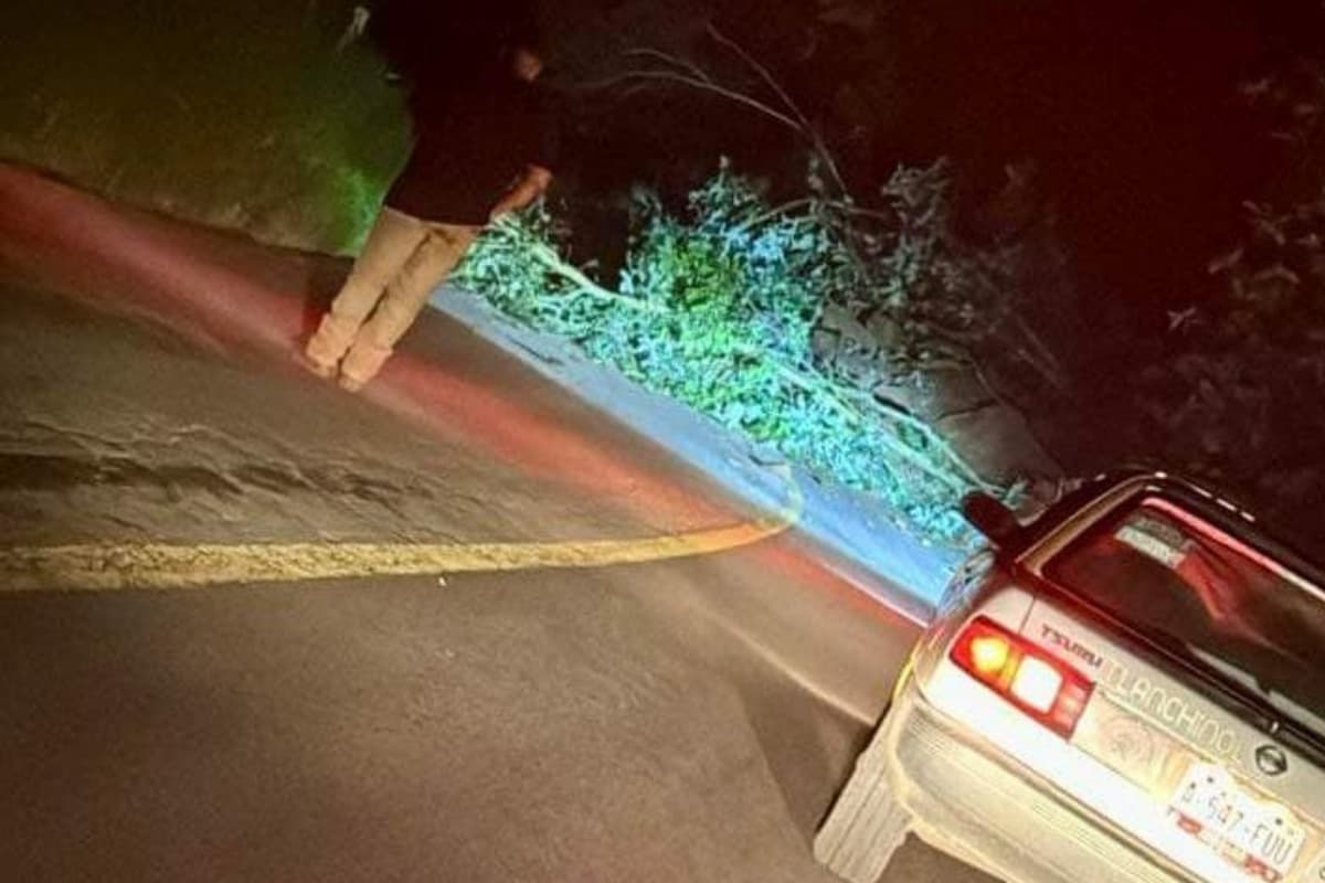 Derrumbes afectan diversos tramos carreteros, en la Sierra hidalguense