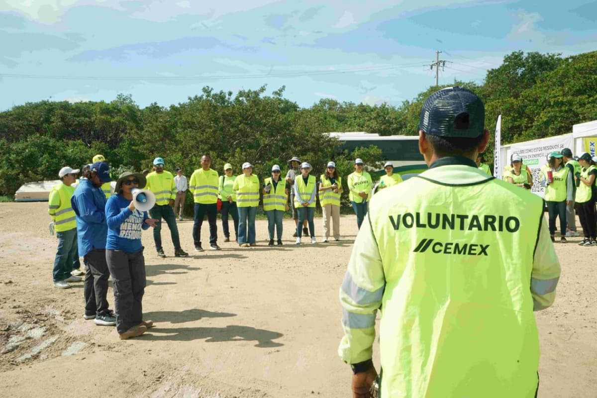 Empresas y voluntarios se unen para limpiar el manglar Laguna Cocodrilo en Sisal, Yucatán