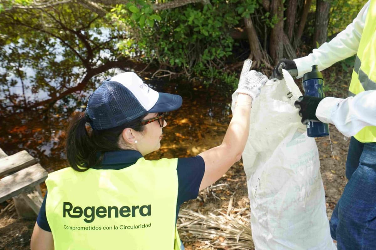 Empresas y voluntarios se unen para limpiar el manglar Laguna Cocodrilo en Sisal, Yucatán