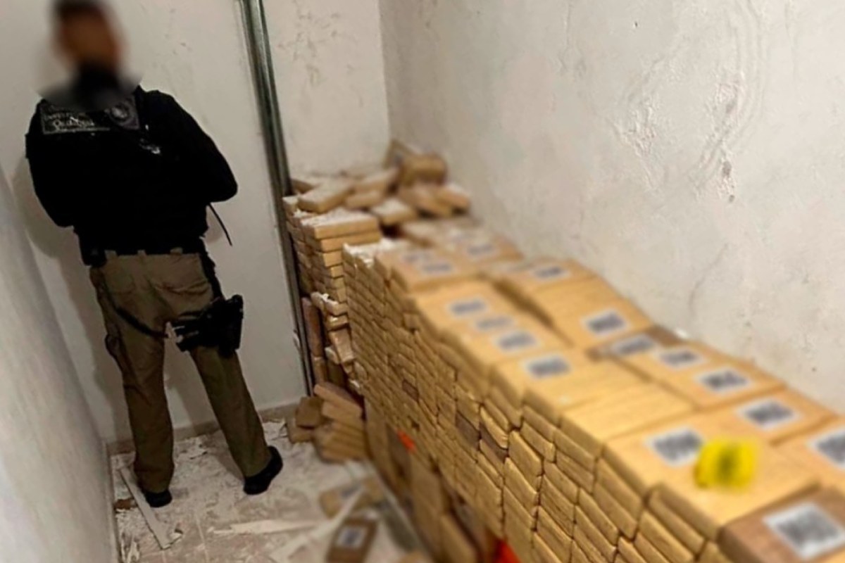 en enero, agentes de la Fiscalía General de la República (FGR) realizaron el decomiso de casi tonelada y media de marihuana
