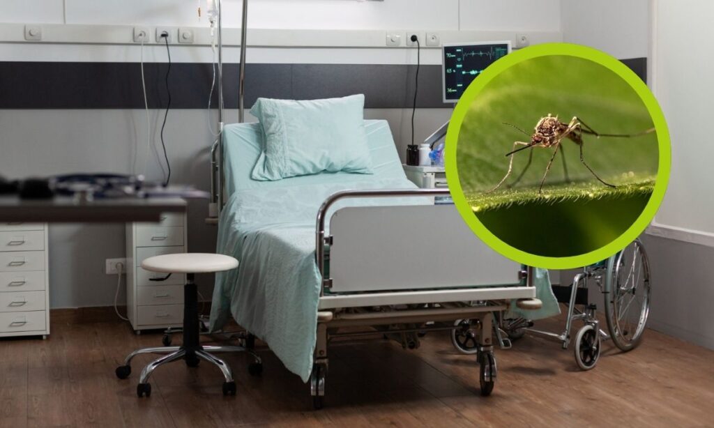 ¿Cuántos casos de dengue se registraron en Hidalgo durante la semana epidemiológica 35?