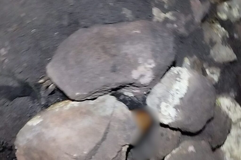 Restos humanos localizados en una fosa en la comunidad de Puerto México, San Agustín Tlaxiaca Foto: Archivo