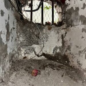 La Mansión del Terror ha cerrado sus puertas, dejando a muchos en Hidalgo con una mezcla de tristeza y curiosidad.