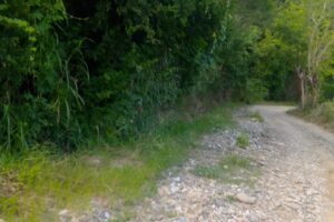 Los habitantes hacen un llamado urgente a las autoridades para que resuelvan esta problemática 