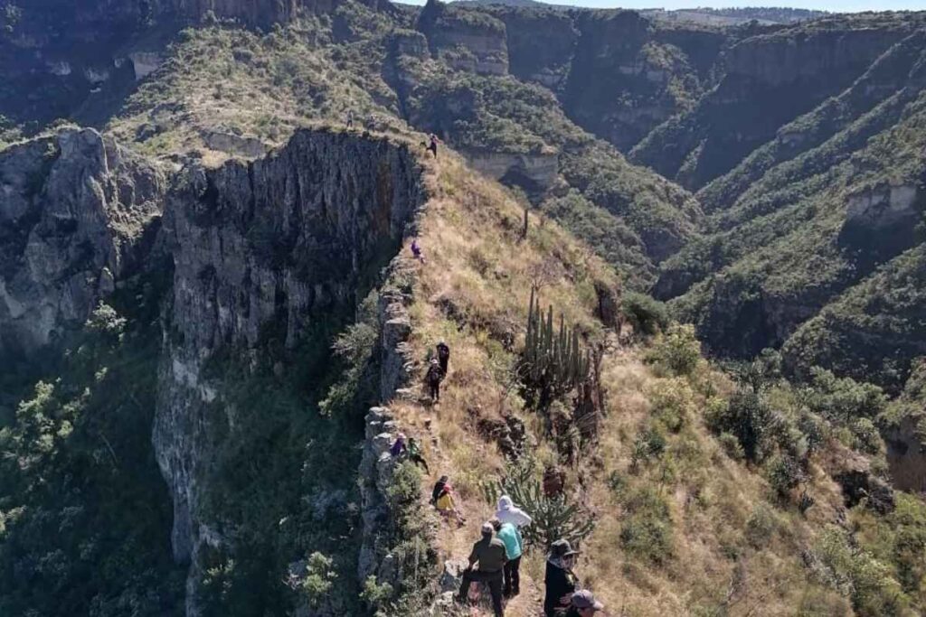 Los participantes realizaron una caminata de aproximadamente siete kilómetros