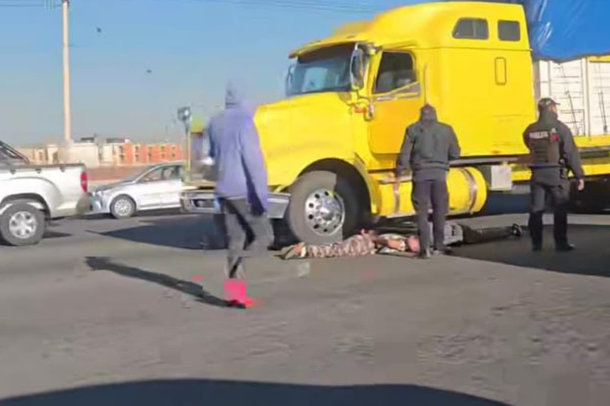 La unidad de carga fue asegurada tras el reporte de robo en el REPUVE / Foto. Especial
