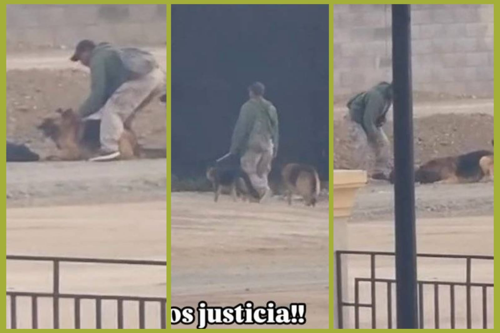 Maltrato animal en Zempola: un hombre golpea a un perro en Viñedos