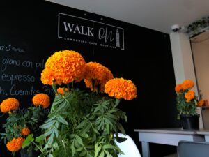 Kathya Moreno muestra las flores recolectadas que pronto se transformarán en composta y semillas.
