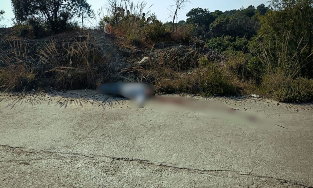 Acatlán: Hombre fue acribillado mientras pastoreaba a su ganado; investigan los hechos