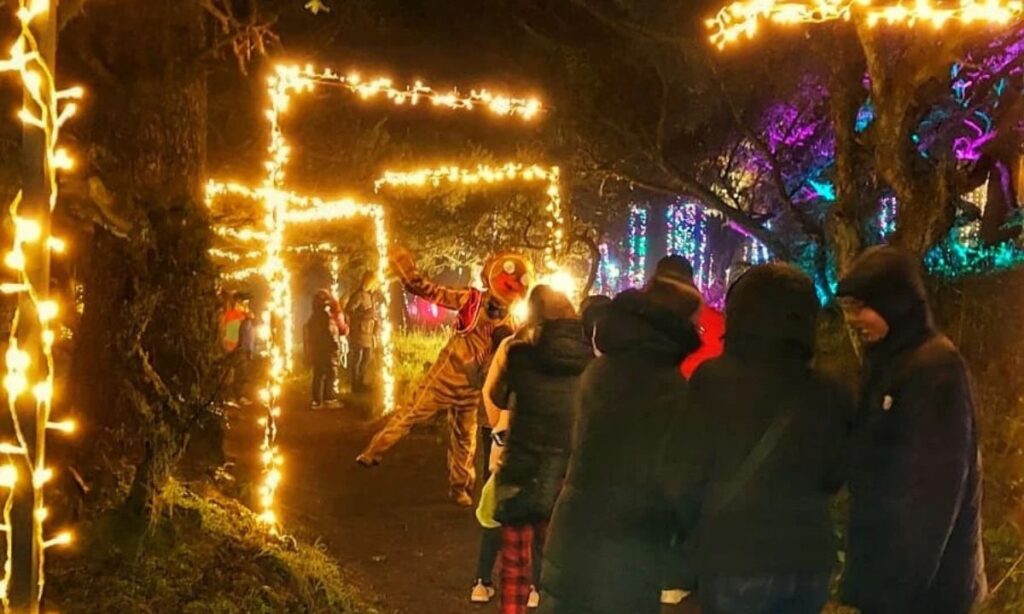 ¿Planeabas ir al Bosque Iluminado en El Cerezo este 2024? Pues hay malas noticias