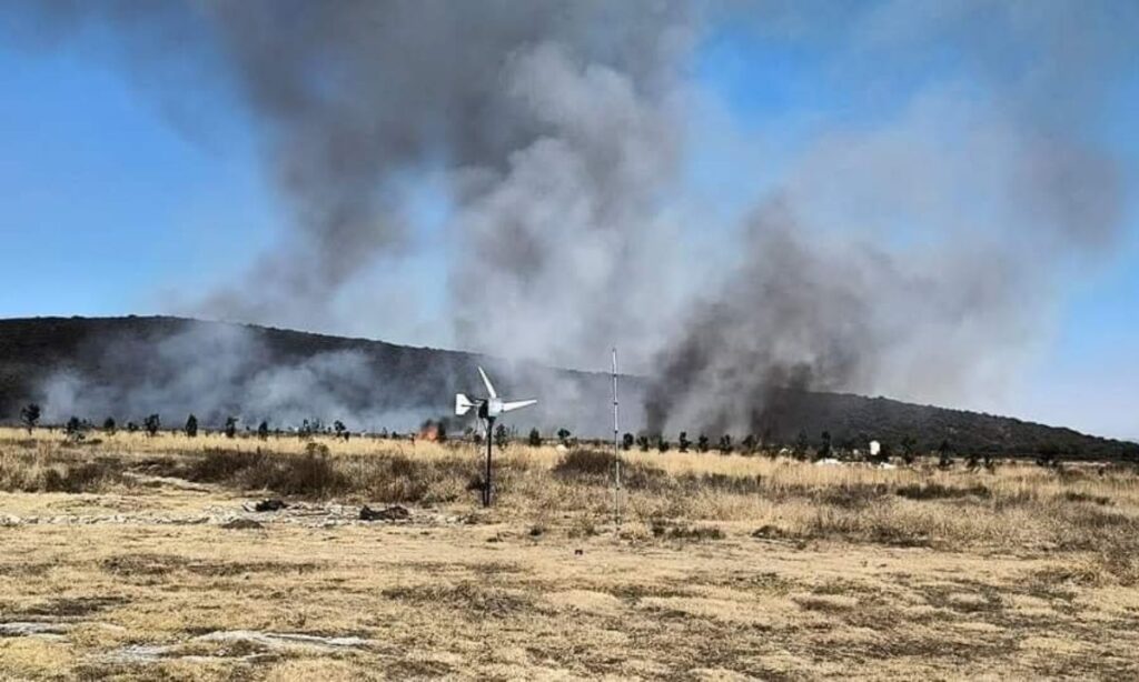 Tolcayuca: Incendio de pastizales obliga evacuación de alumnos y docentes en la UPMH