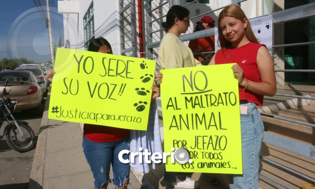 Esto deberá pagar el agresor de Jefazo para no pisar la cárcel, tras audiencia realizada en Pachuca