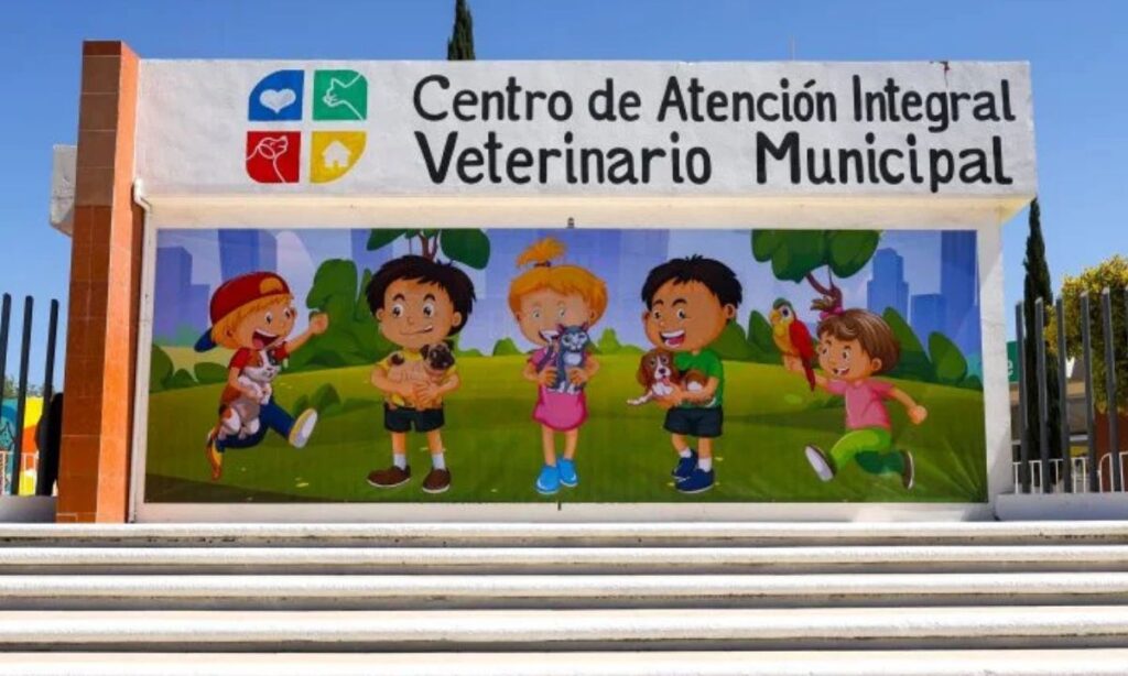 Pachuca habilitará una página para ayudar a las personas localizar a sus lomitos y michis