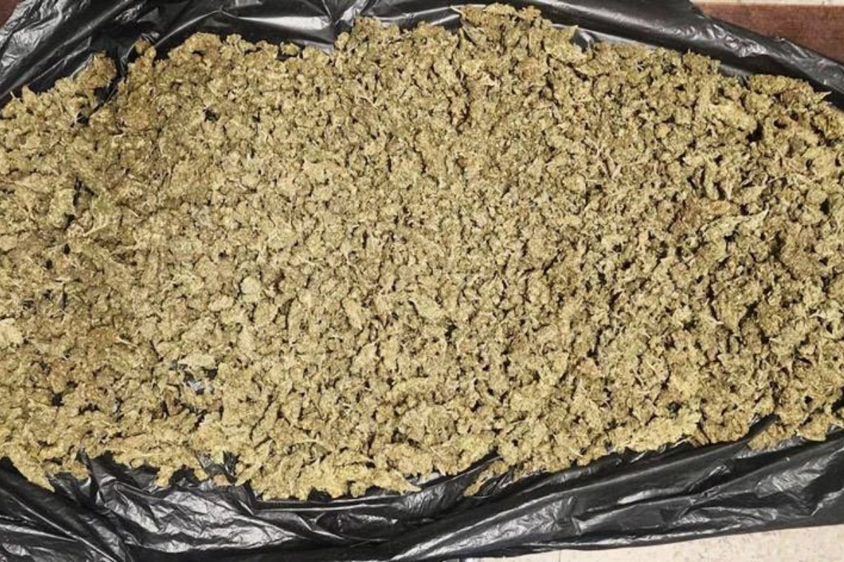 Dos kilos de marihuana incautados durante el operativo en Tulancingo 
