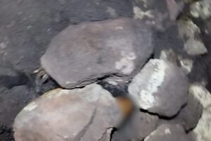 Los restos de seis personas se encontraban en la fosa clandestina hallada en San Agustín TlaxiacaFoto: Archivo