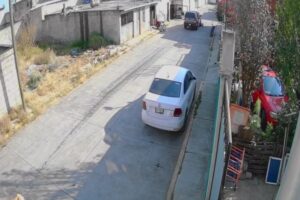 Indignación por atropellamiento de perrita embarazada en Santiago Tulantepec: vecinos exigen justicia