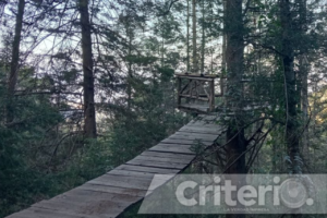Roca Bosque, un lugar donde la tranquilidad y la emoción se encuentran