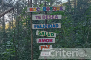 Senderos mágicos y figuras talladas en madera te esperan en Roca Bosque