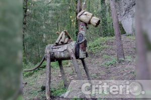 Senderos tallados en madera: el encanto único de Roca Bosque en Mineral del Chico