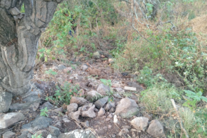 Pirámide en San Agustín Metzquititlán: hallazgo histórico a orilla de carretera