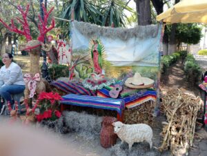 Pedro Cruz Téllez y Ernesto Bolio Trejo son fotógrafos que acudieron al jardín frente a la iglesia de Atotonilco el Grande a ofertar retratos