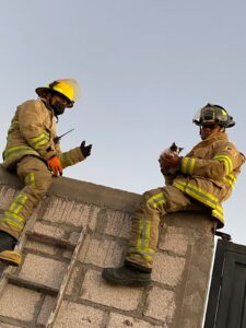 El gato fue rescatado ileso gracias al rápido actuar de los cuerpos de emergencia.