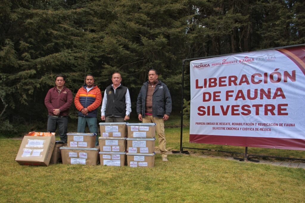 Liberan en el Parque Nacional El Chico a diversos animales que fueron rescatados