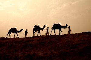 La cabalgata se realizará el sábado 5, iniciando a las 9:00 horas en el domo de la comunidad Bellavista